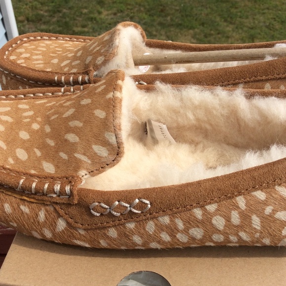 UGG ANSLEY IDYLLYWILD - Picture 4 of 6